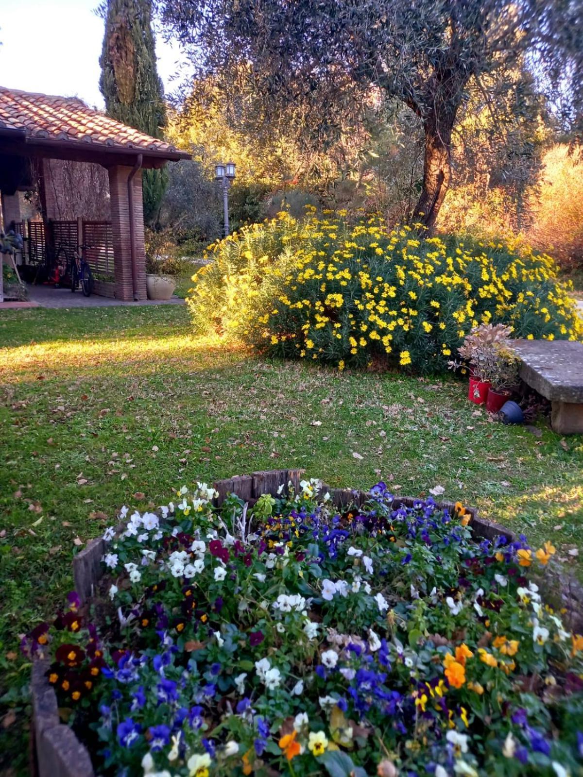 La Chiesuola Bed & Breakfast Bagnaia  ภายนอก รูปภาพ