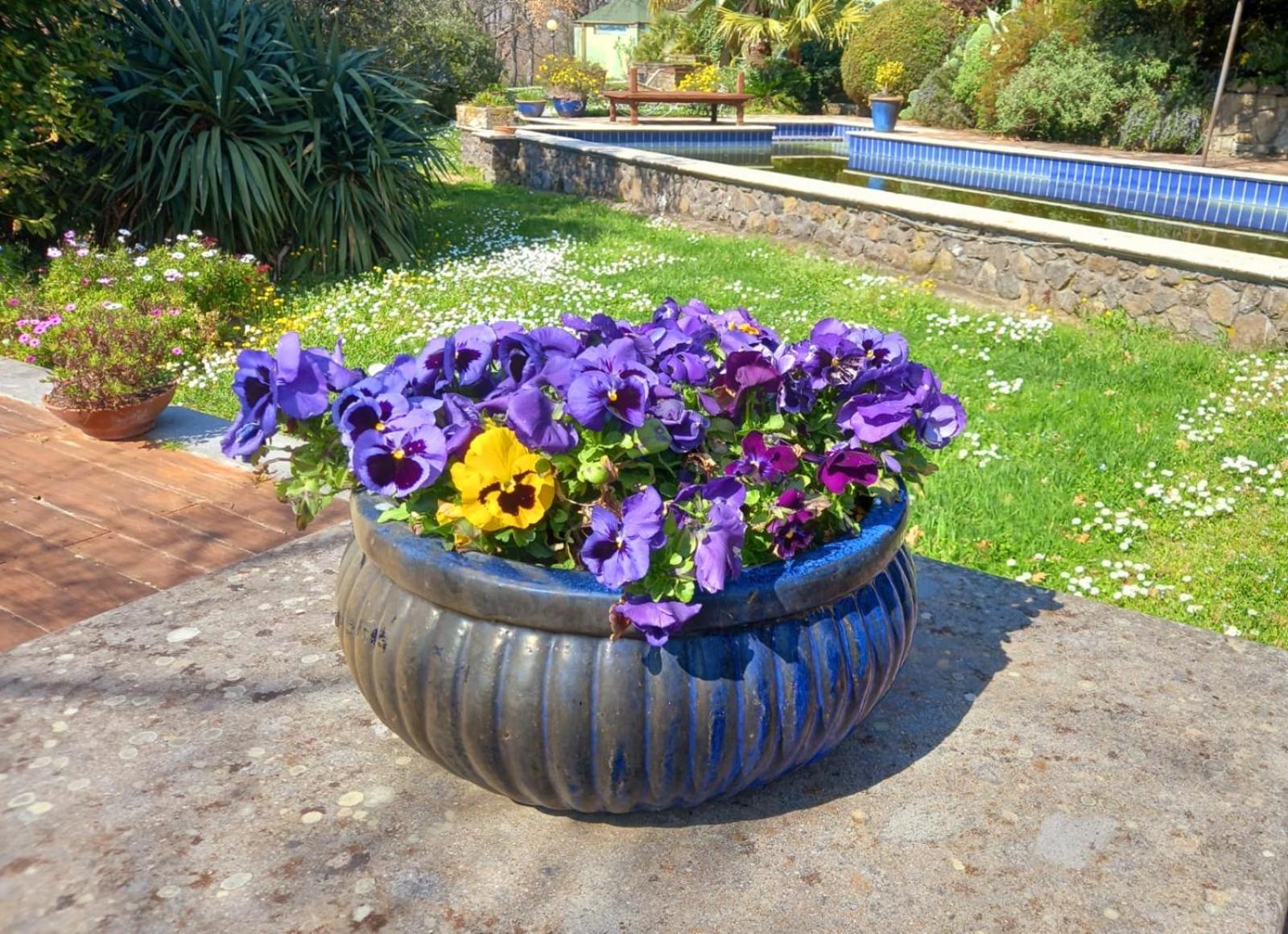 La Chiesuola Bed & Breakfast Bagnaia  ภายนอก รูปภาพ