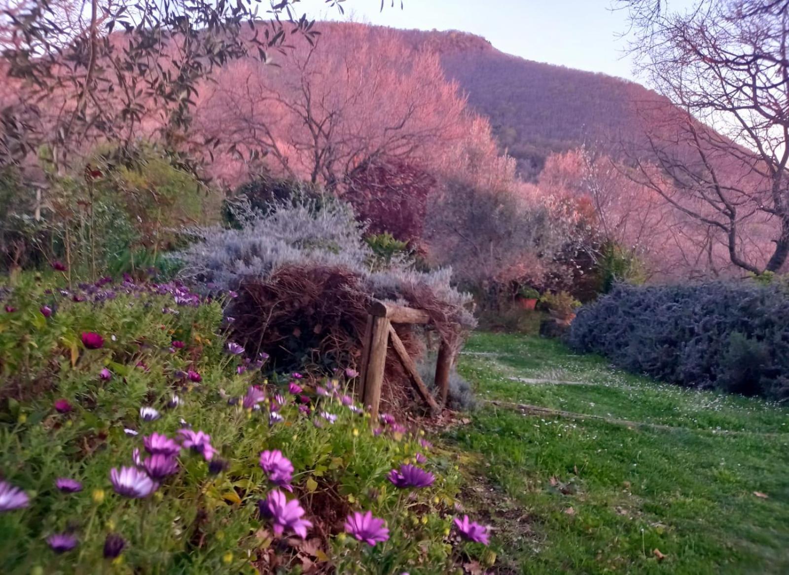 La Chiesuola Bed & Breakfast Bagnaia  ภายนอก รูปภาพ
