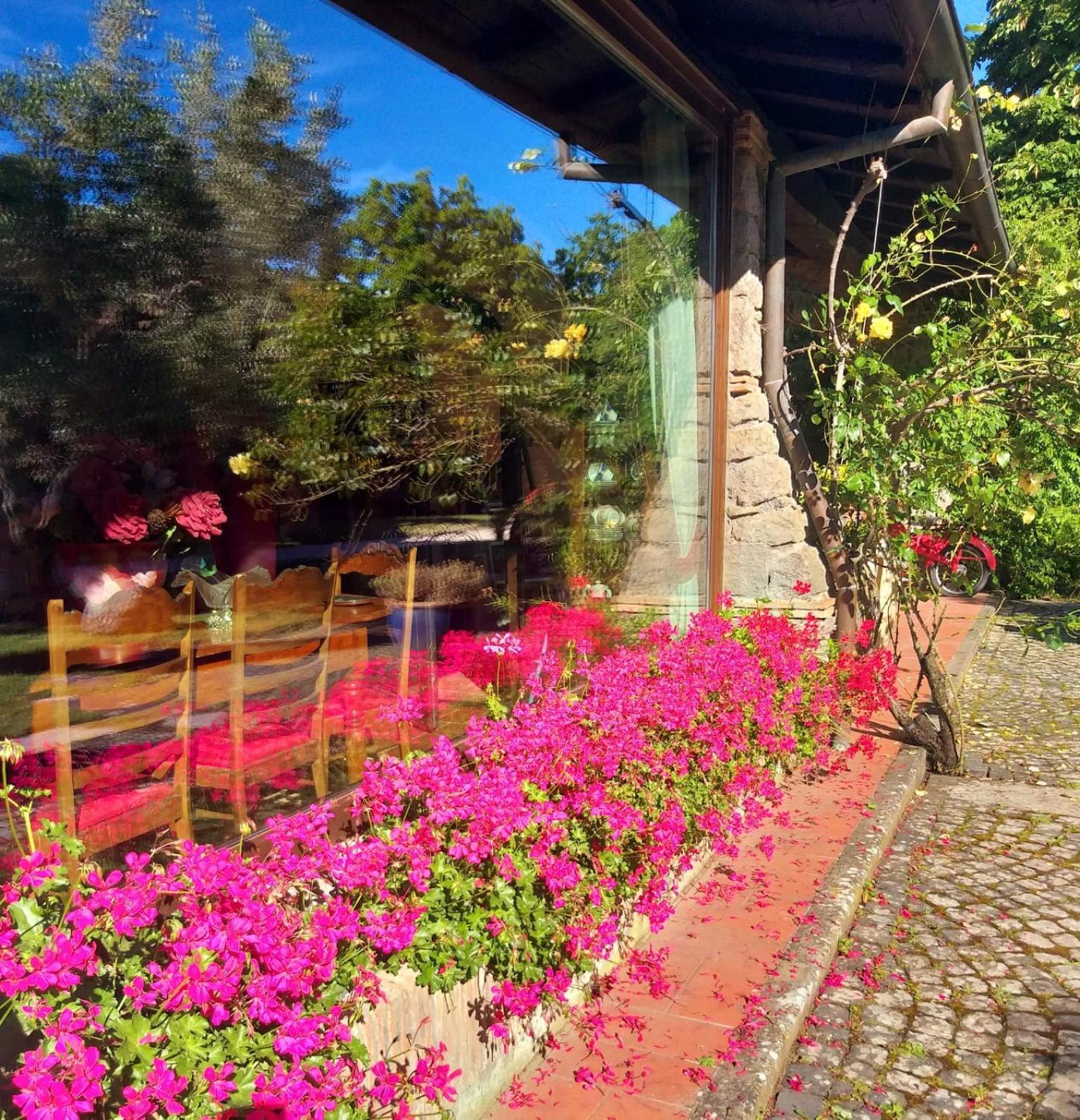 La Chiesuola Bed & Breakfast Bagnaia  ภายนอก รูปภาพ